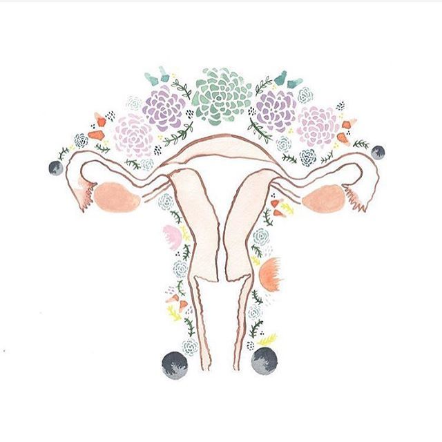 Yoni a její historie- část 1.