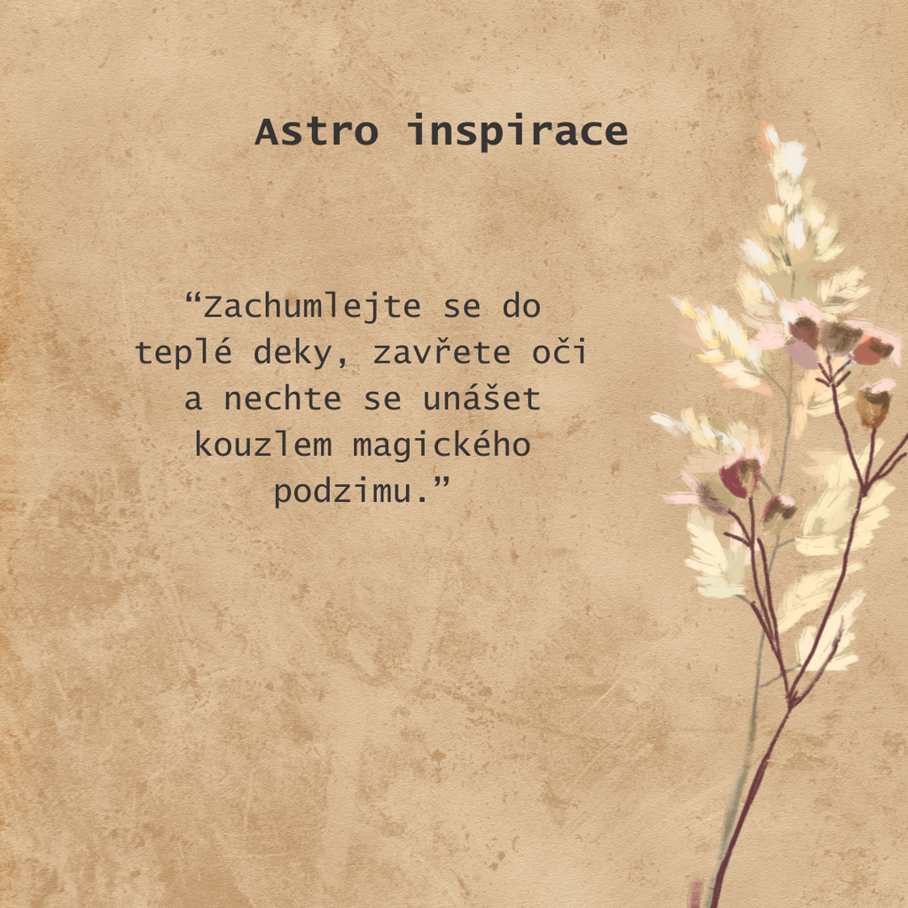 Astro Inspirace k 11.11. - 13.11.
